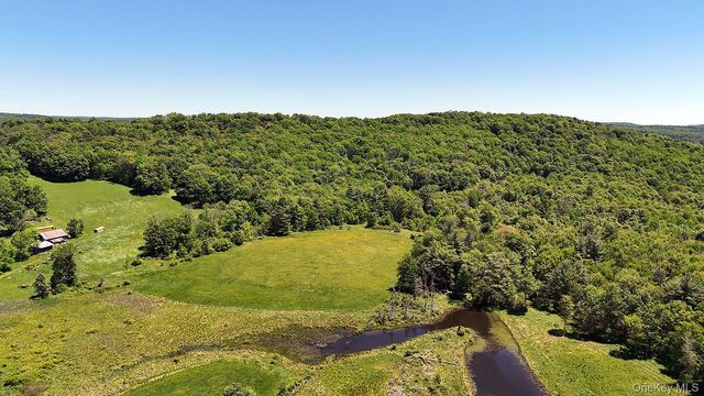 28 Banuat Road, Obernburg, NY 12766