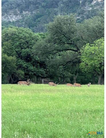 831 Wade Road, New Braunfels, TX 78132