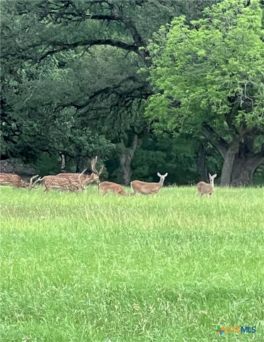 831 Wade Road, New Braunfels, TX 78132