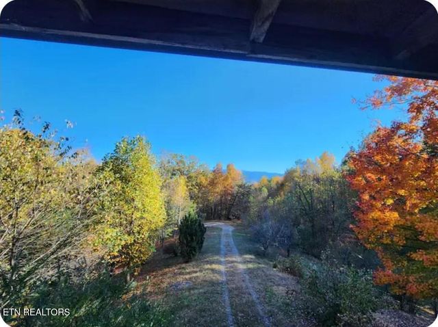 1196 Iris Way, Cosby, TN 37722