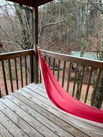 1196 Iris Way, Cosby, TN 37722