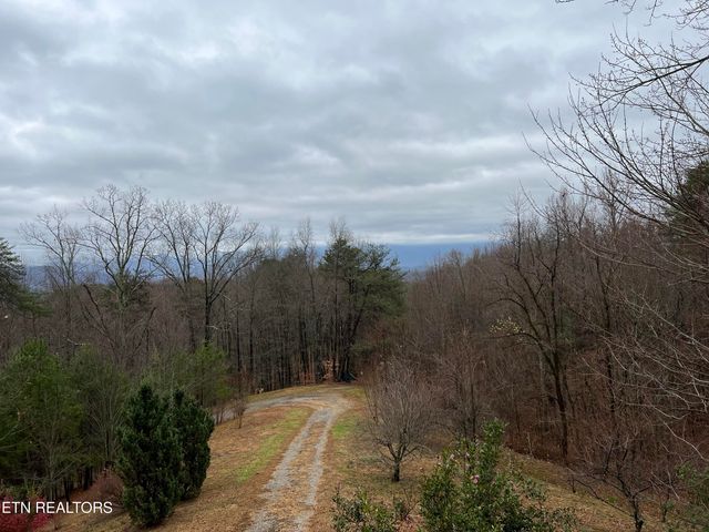 1196 Iris Way, Cosby, TN 37722