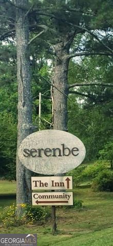 10671 Serenbe Lane, Chattahoochee Hills, GA 30268