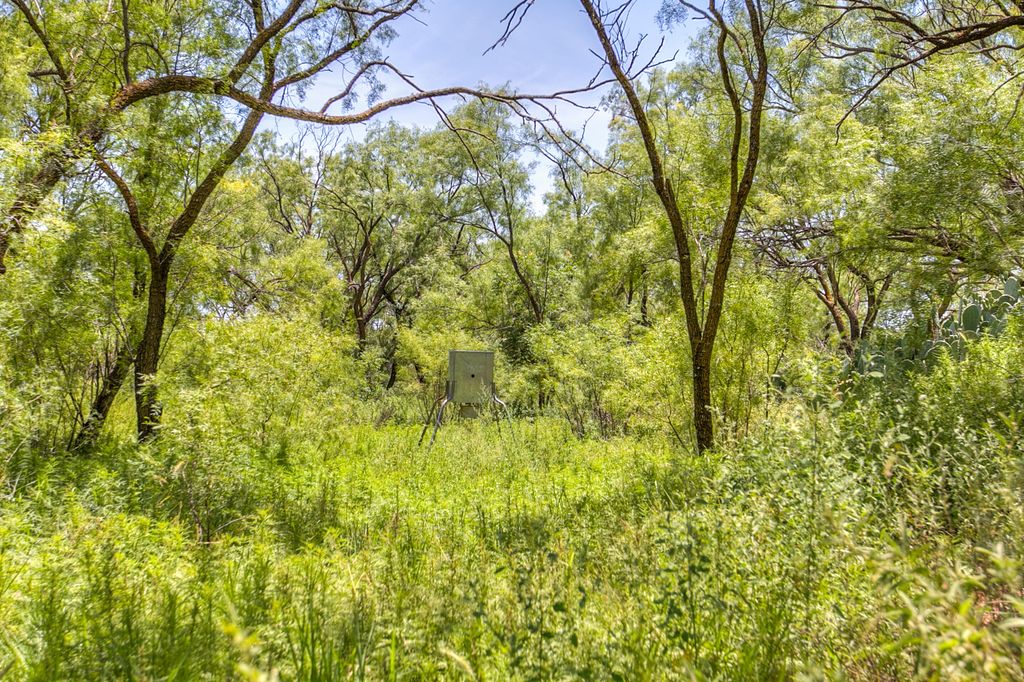Image 13 of property listing at 281 2884, Ballinger, TX 76821