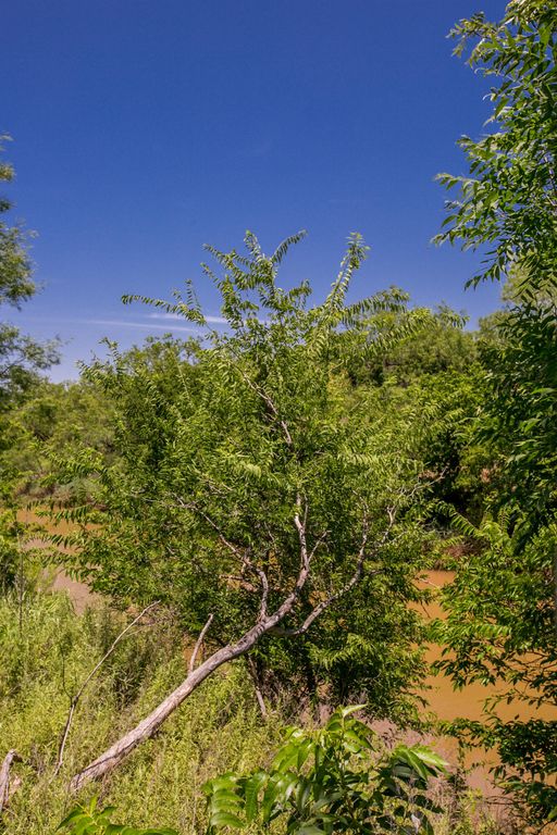Image 4 of property listing at 281 2884, Ballinger, TX 76821