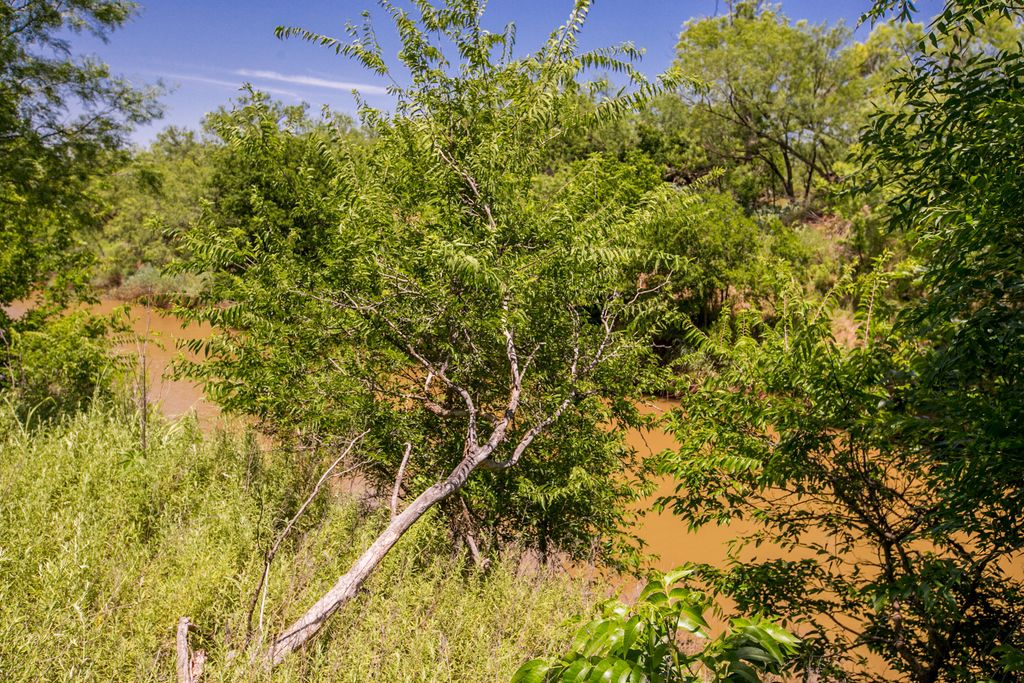 Image 5 of property listing at 281 2884, Ballinger, TX 76821