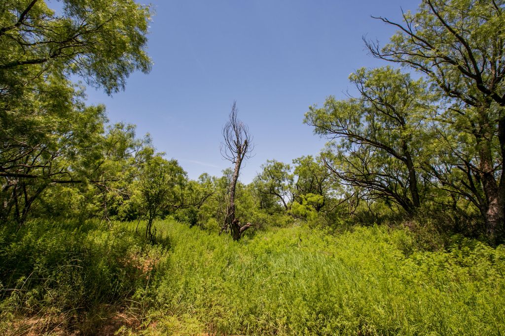 Image 6 of property listing at 281 2884, Ballinger, TX 76821