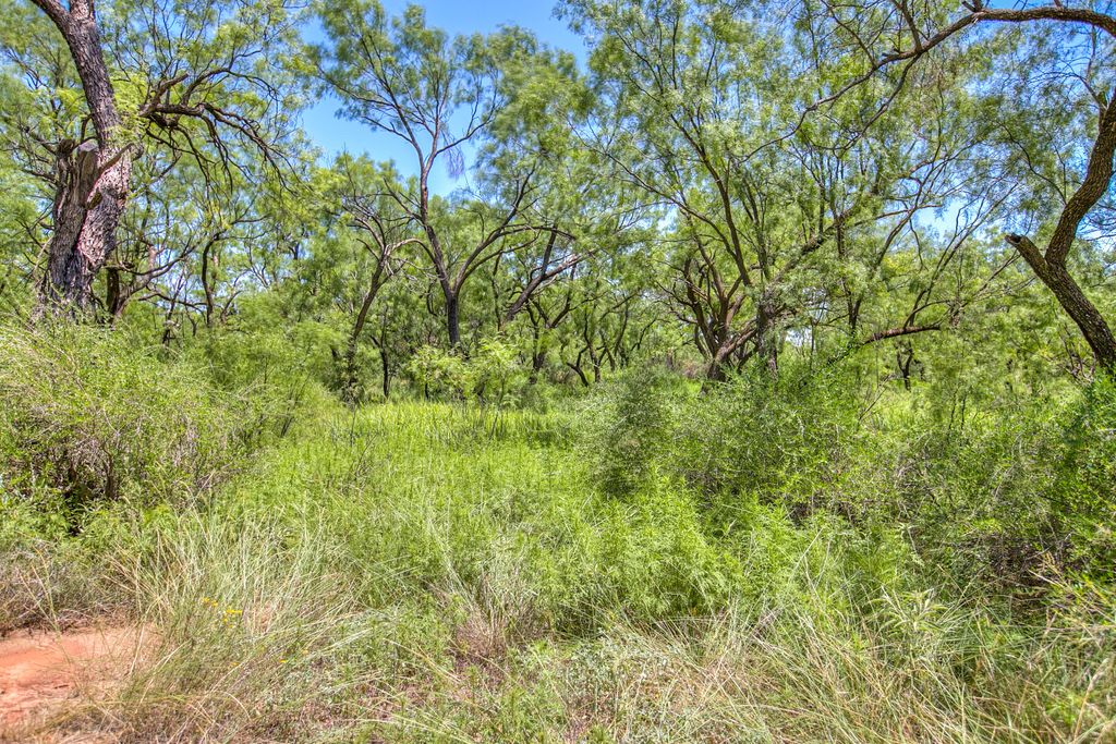 Image 7 of property listing at 281 2884, Ballinger, TX 76821