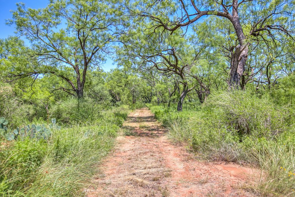 Image 8 of property listing at 281 2884, Ballinger, TX 76821