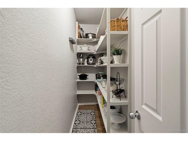 5918 Point Rider Cir, Castle Rock, CO 80104