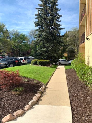6433 W Belle Plaine Avenue 209, Chicago, IL 60634