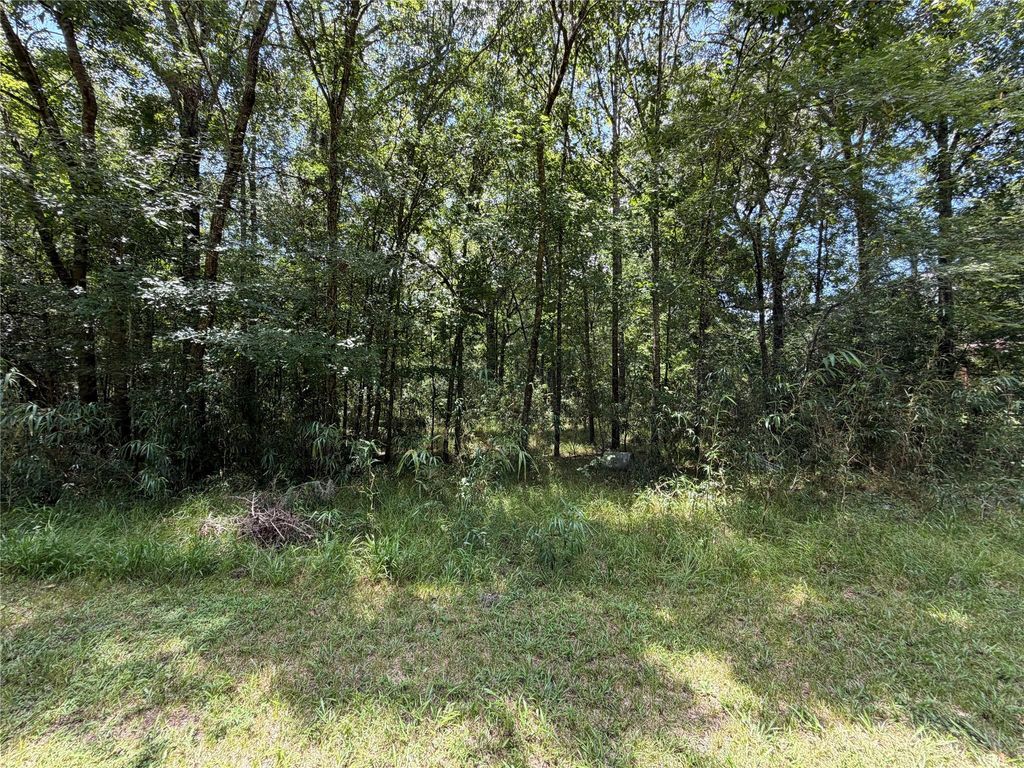 Lot 119 Miller Drive, Cleveland, TX 77327