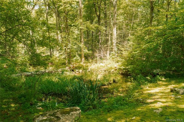 238 Rushmore Road, Stormville, NY 12582