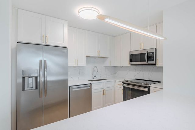 1255 N Sandburg Terrace 2606E, Chicago, IL 60610