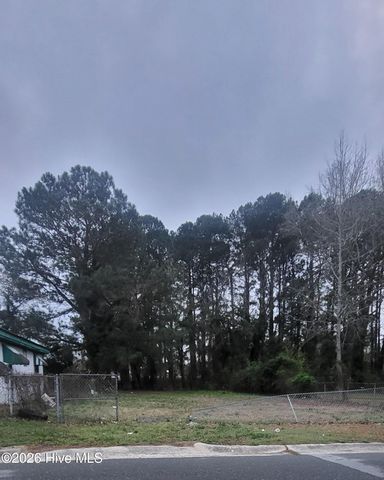 236 Wayne Avenue, Goldsboro, NC 27530