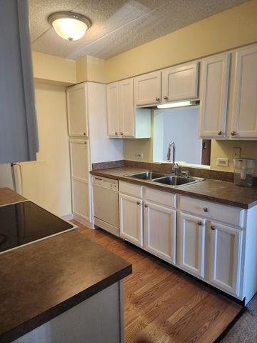 606 E Woodland Park Avenue 301, Chicago, IL 60616