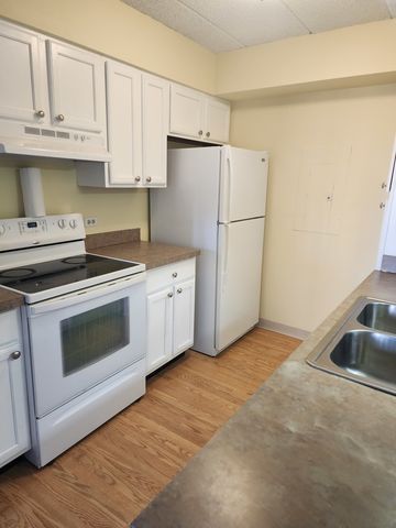 606 E Woodland Park Avenue 301, Chicago, IL 60616