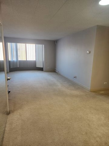 606 E Woodland Park Avenue 301, Chicago, IL 60616