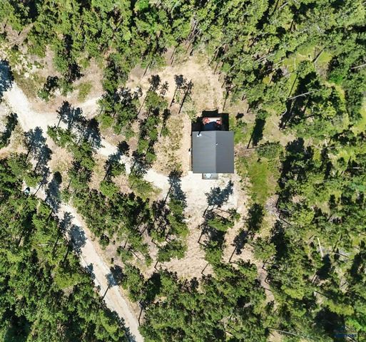 21304 WASP RD, Lead, SD 57790