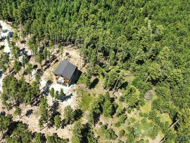 21304 WASP RD, Lead, SD 57790