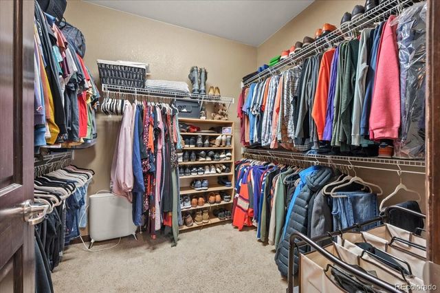 1313 Single Tree Lane, Erie, CO 80516