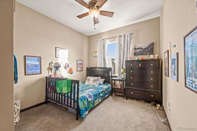 1313 Single Tree Lane, Erie, CO 80516