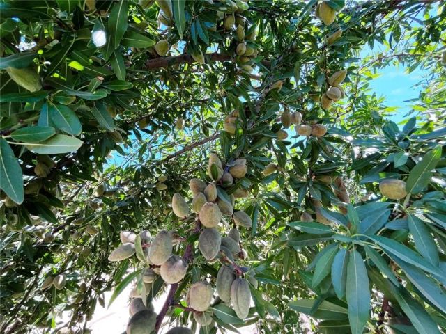 14359 Sunset, Livingston, CA 95334