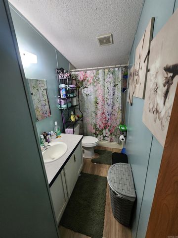 3152 Polk Road 293, Mena, AR 71953