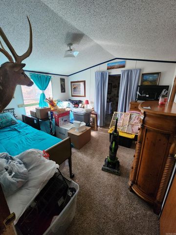 3152 Polk Road 293, Mena, AR 71953
