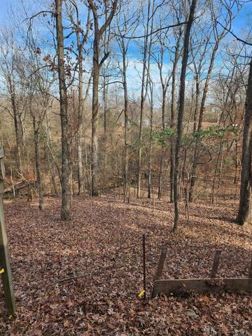 3152 Polk Road 293, Mena, AR 71953