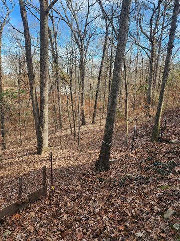 3152 Polk Road 293, Mena, AR 71953