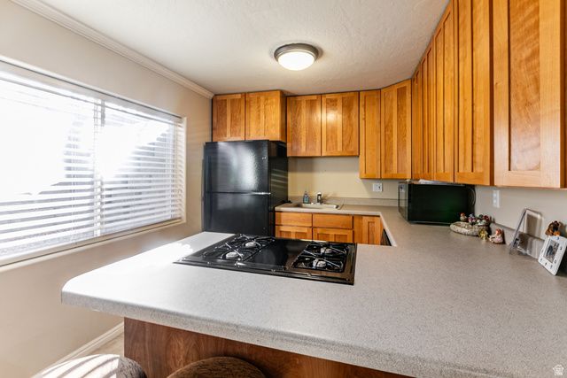 12321 S GRAYSTONE CT, Draper, UT 84020