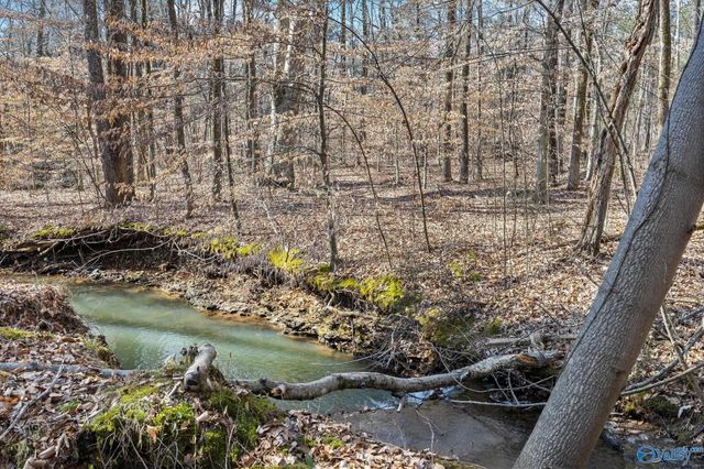 122 Iron Horse Trail, Harvest, AL 35749