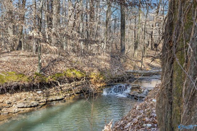 122 Iron Horse Trail, Harvest, AL 35749