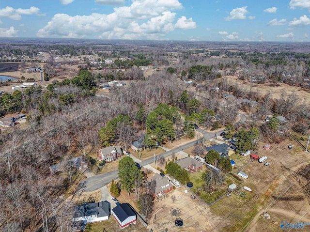 122 Iron Horse Trail, Harvest, AL 35749