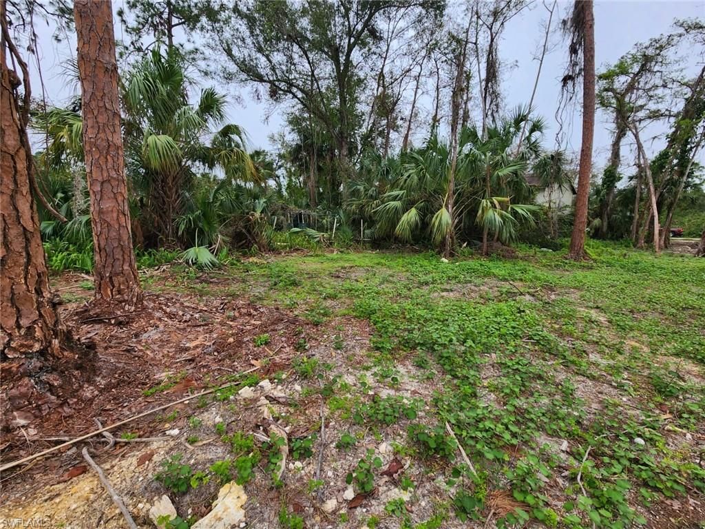 2004 Canton AVE, ALVA, FL 33920 — photo 3