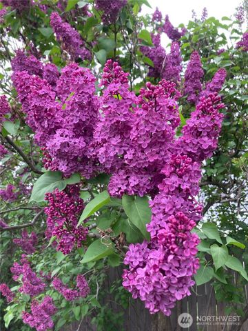 1836 Pike Place, Walla Walla, WA 99362