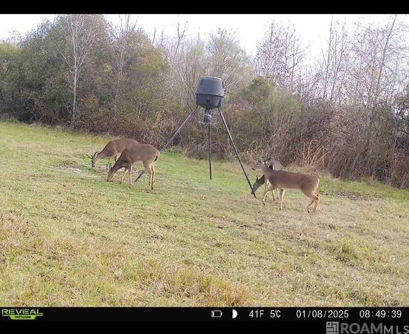 7474 Lemon Rd, Slaughter, LA 70777