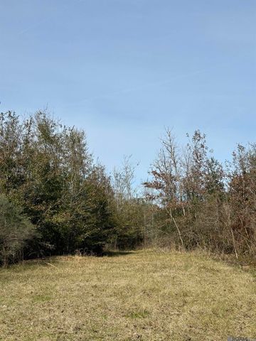 7474 Lemon Rd, Slaughter, LA 70777