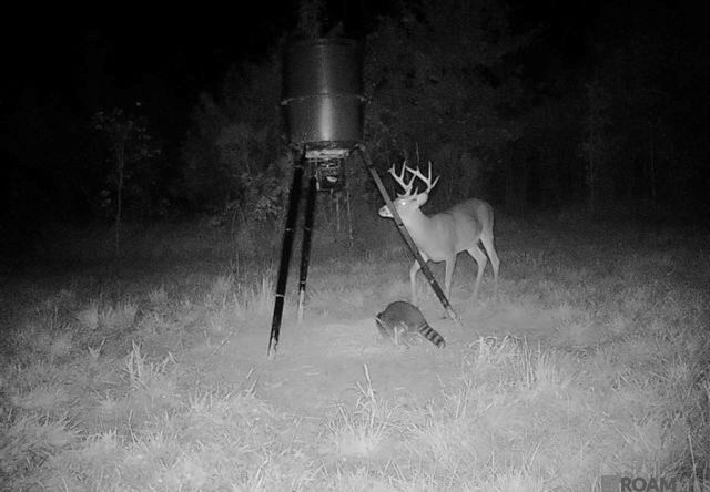 7474 Lemon Rd, Slaughter, LA 70777