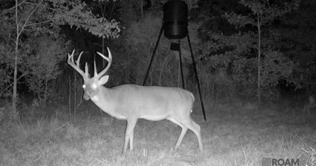 7474 Lemon Rd, Slaughter, LA 70777