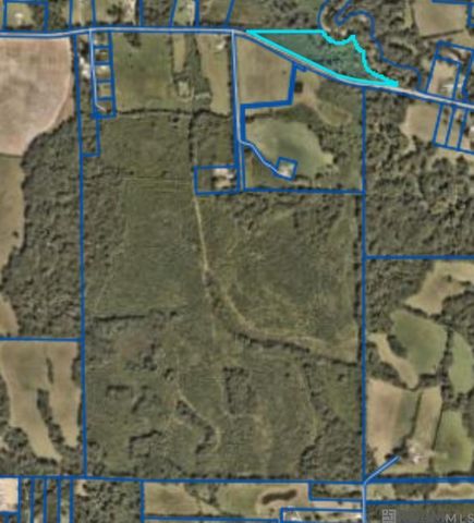 7474 Lemon Rd, Slaughter, LA 70777