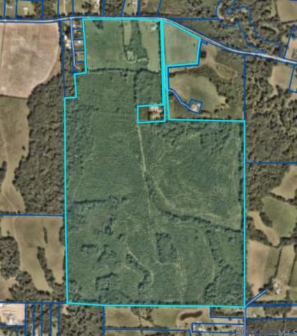 7474 Lemon Rd, Slaughter, LA 70777