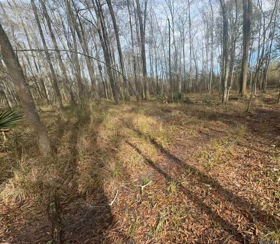 7474 Lemon Rd, Slaughter, LA 70777