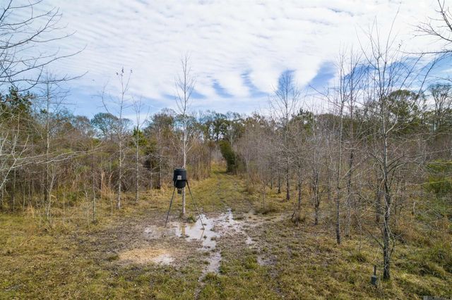 7474 Lemon Rd, Slaughter, LA 70777