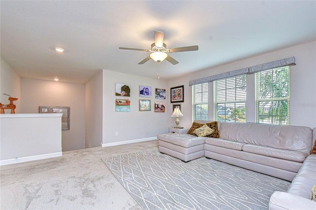 25069 LAMBRUSCO LOOP, Lutz, FL 33559