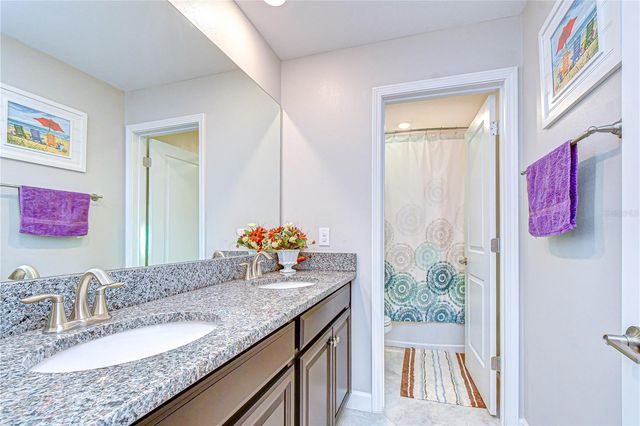 25069 LAMBRUSCO LOOP, Lutz, FL 33559