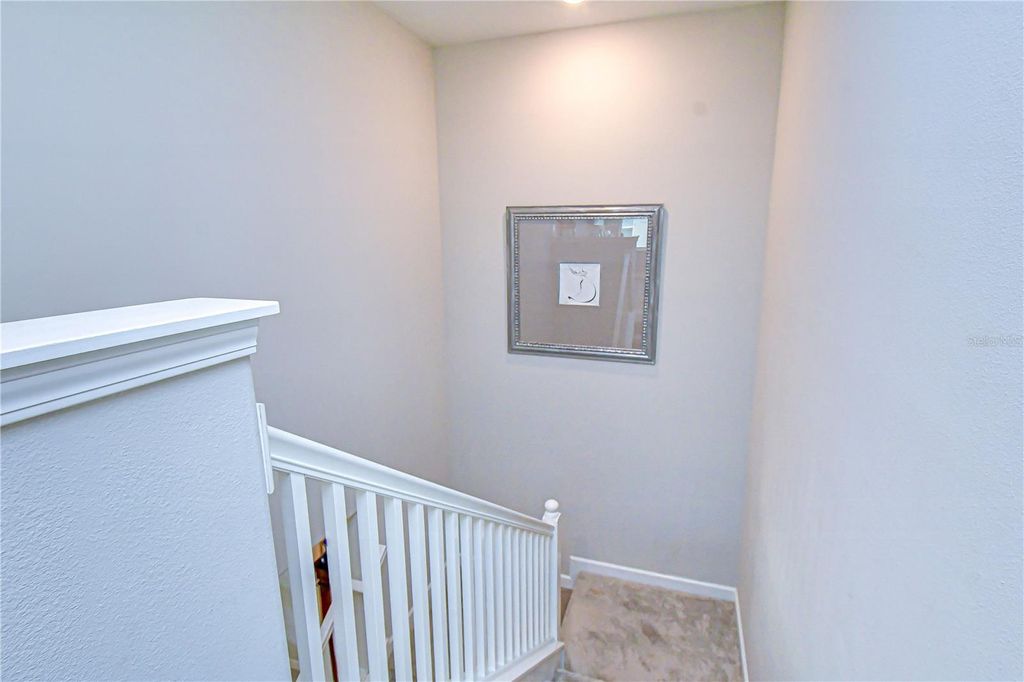 Image 18 of property listing at 25069 LAMBRUSCO LOOP, Lutz, FL 33559