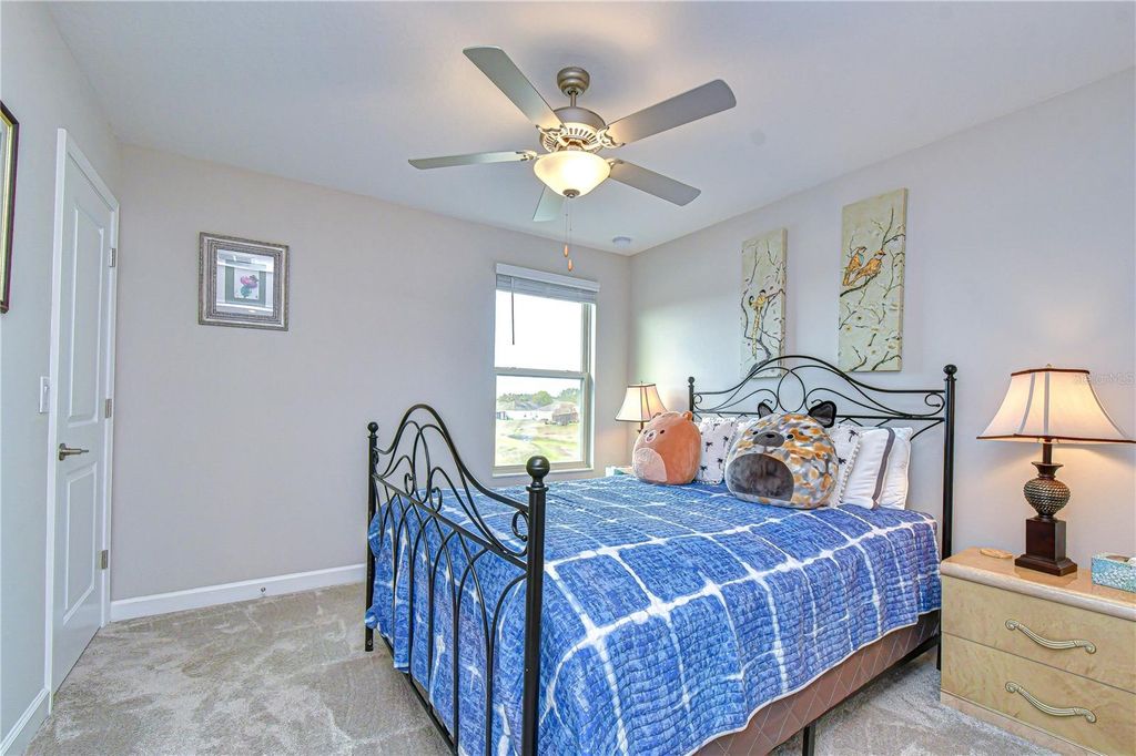 Image 23 of property listing at 25069 LAMBRUSCO LOOP, Lutz, FL 33559