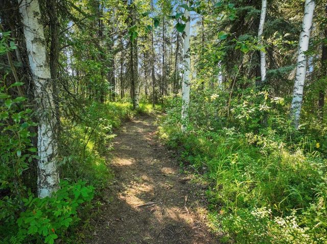 1490 MILL POND COURT, North Pole, AK 99705